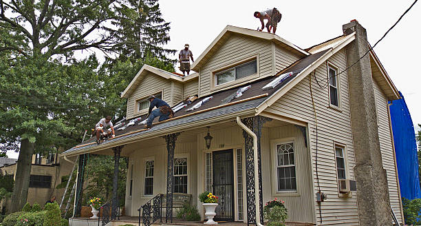 Best Storm Damage Roof Repair  in Ferron, UT